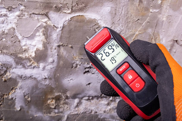 Professional Mold Remediation in Volo, IL